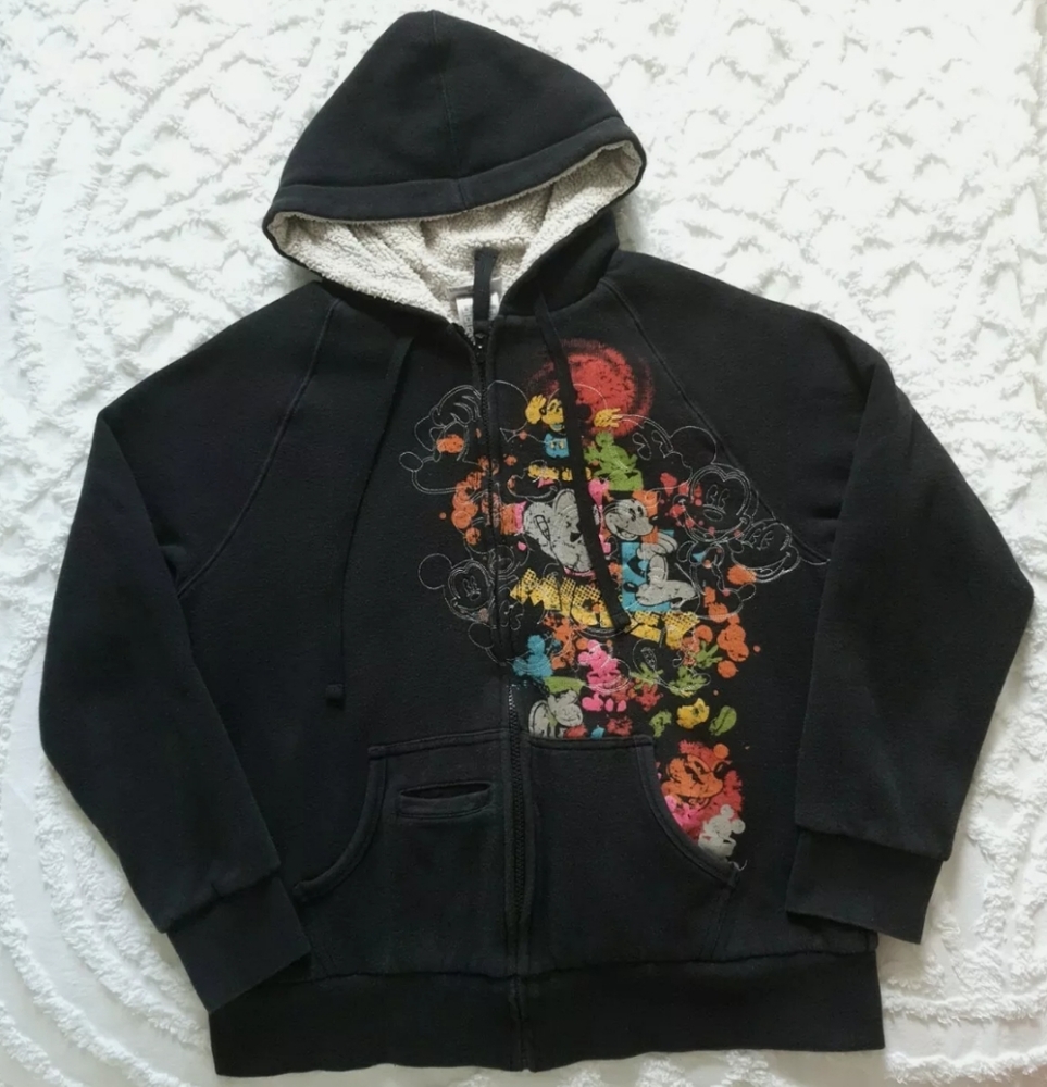 Walt disney world  pullover hoodie zip